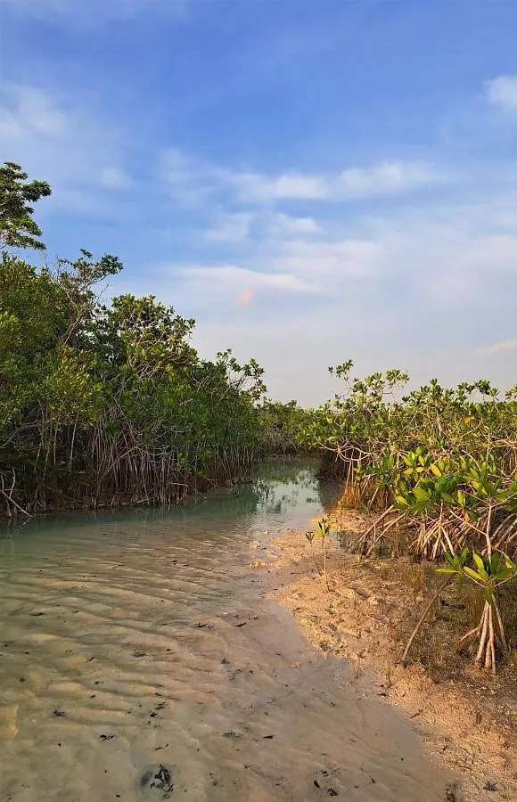 Cayuco Maya Bacalar Mexique